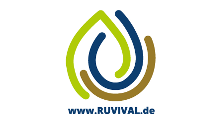 Logo RUVIVAL aus drei farbigen runden Strichen