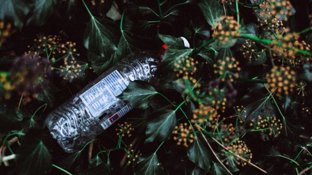 Eine Pflastikflasche liegt in der Natur.