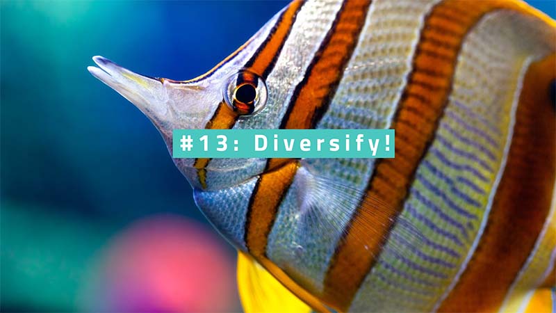 Ein bunter Zierfisch und dort steht #13 Diversify!