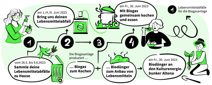Der BioCylce ist in vier Etappen abgebildet