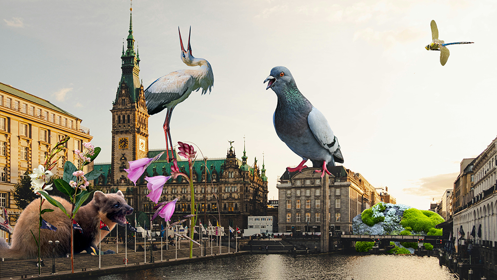 Die Collage zeigt das Hamburger Rathaus, wo sich überdimensional große Tiere, wie ein Storch, Marder und Taube sich befinden.